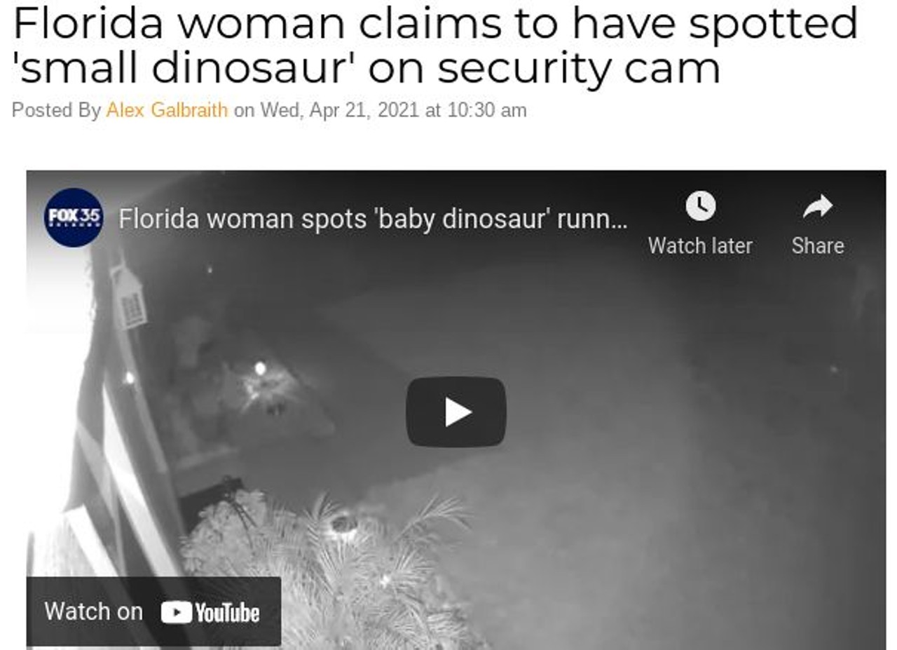Florida woman claims to have spotted 'small dinosaur' on security cam
