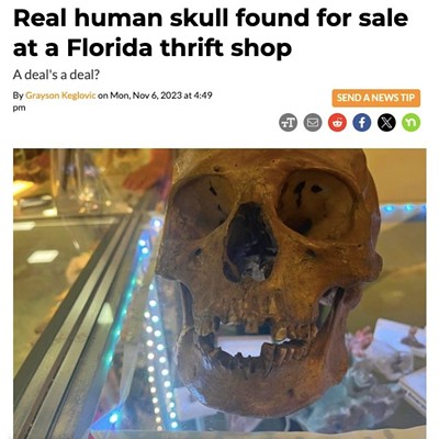 A Florida thrift shopper — who happened to be an anthropologist — found a skull in the store's Halloween section. He thought it looked too real to be a festive piece of decor and alerted officials, who appeared on the scene and confirmed the skull was in fact that of a once-living human. Read full article