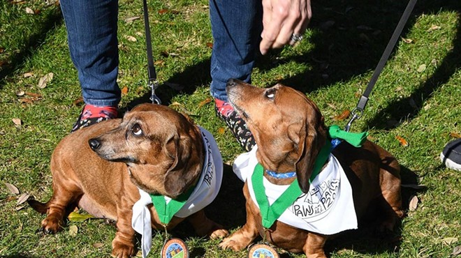 Paws in the Park happens this weekend in Lake Eola