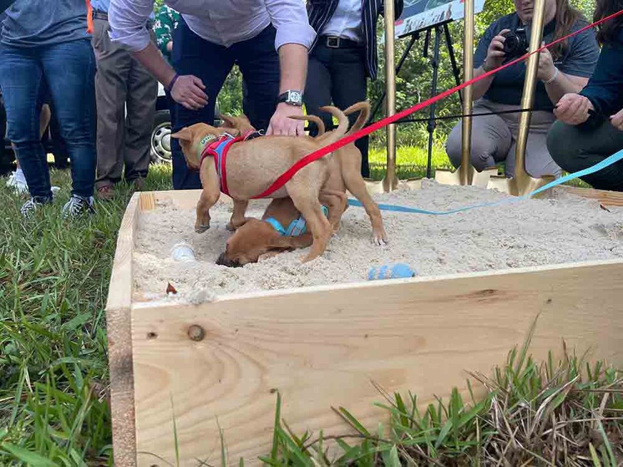 Pet Alliance of Greater Orlando breaks ground on new facility, with some digging help from puppies