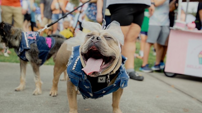 The 30th anniversary Paws in the Park pet festival returns to Orlando in February