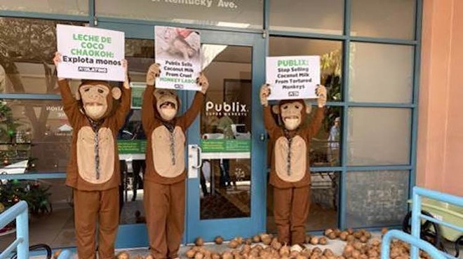 PETA activists drop hundreds of coconuts at Lake Eola Publix Thursday in protest against ‘forced monkey labor’