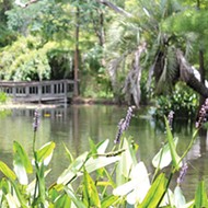 Four perfectly shady parks in Orlando