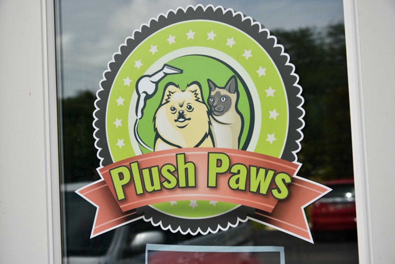 Photos from Plush Paws Pet Salon's Best of Orlando voting party