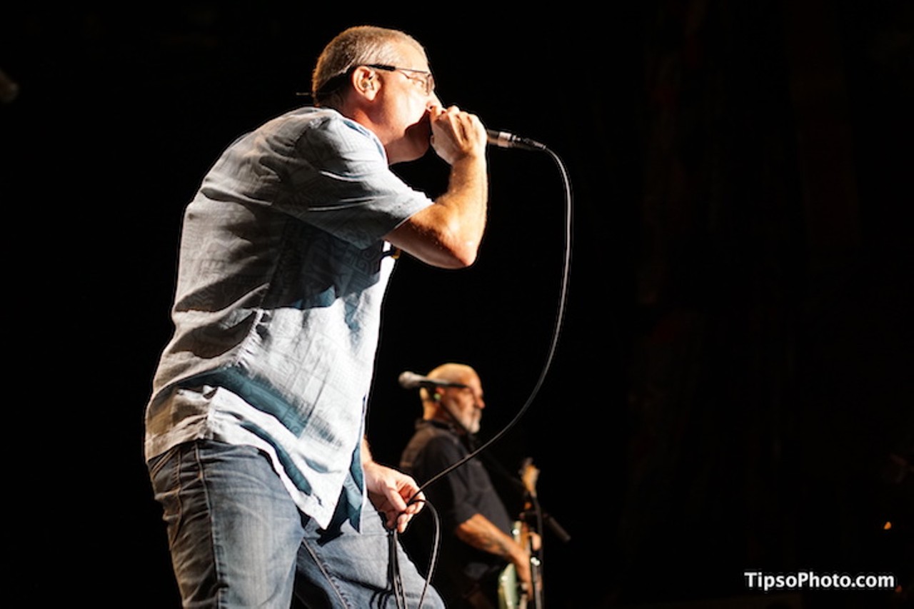 Photos from the Descendents, Debt Neglector and the Attack at the House of Blues