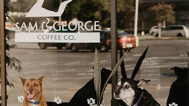 An adoptable dog cafe has plans to open later this year.