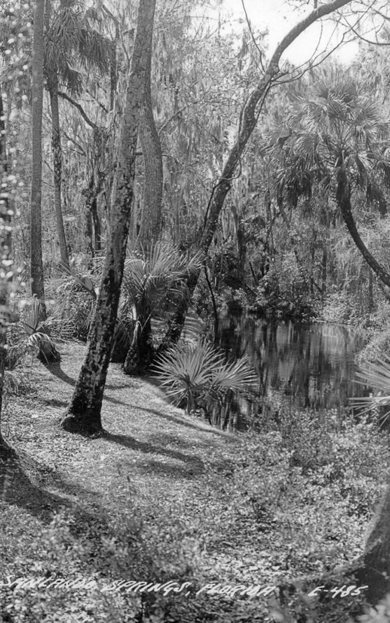 Sanlando Springs, Florida, circa 1940.