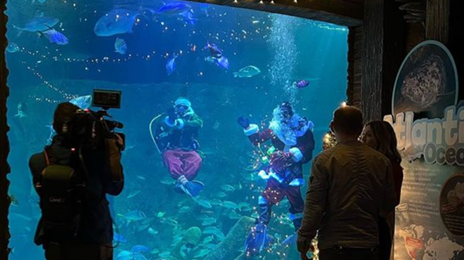 Sea Life Aquarium celebrates season with Scuba Santa