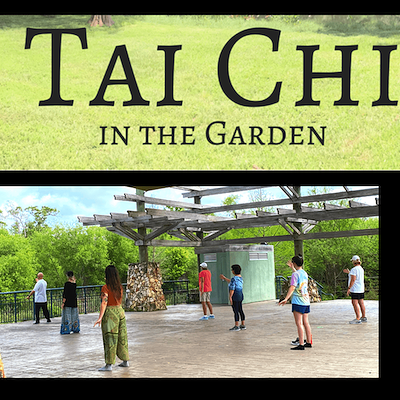 Tai Chi in the Garden