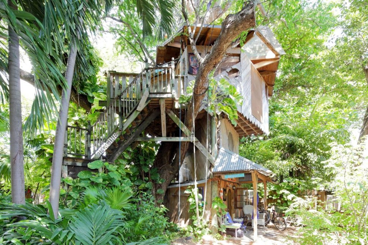 Treehouse Canopy Room: Permaculture Farm
2 guests, 1 bedroom, 1 bed, 1 shared bath
$65 per night
This little tree house is located in the jungle of Miami, and will have you feeling like Tarzan, only without the apes and leopards. Located 15 minutes from South Beach and sporting it's own farm, you'll want to go out and explore Miami and come right back to this little paradise.