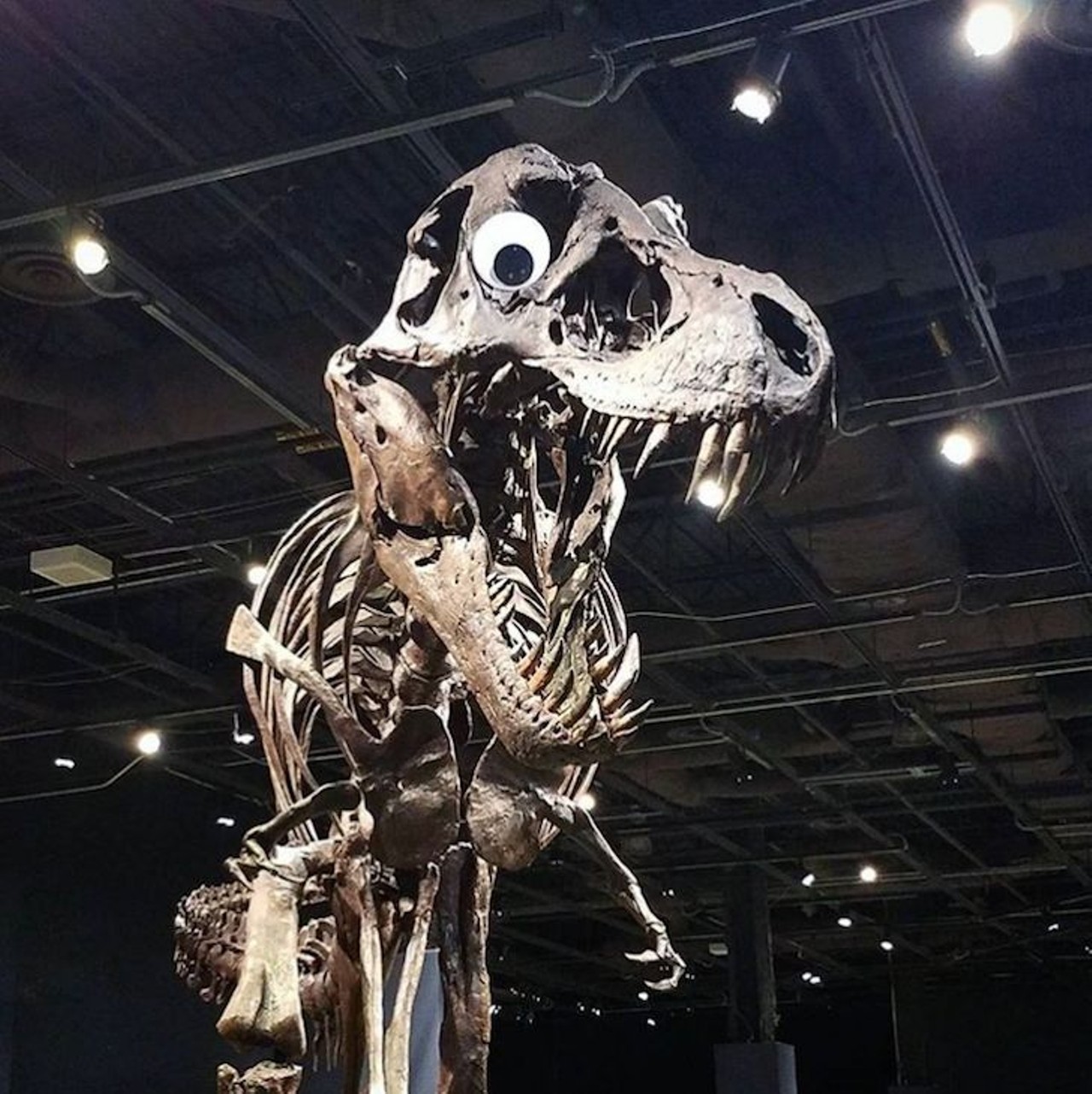 Orlando Science Center
777 E. Princeton St., 407-514-2000
Orlando Science Center is filled with wonders that will pique your interest and indulge your curious bone. There&#146;s a variety of exhibits and programs, like ScienceLive! animal interactions and digital adventure shows.
Photo via orlandosciencecenter/Instagram