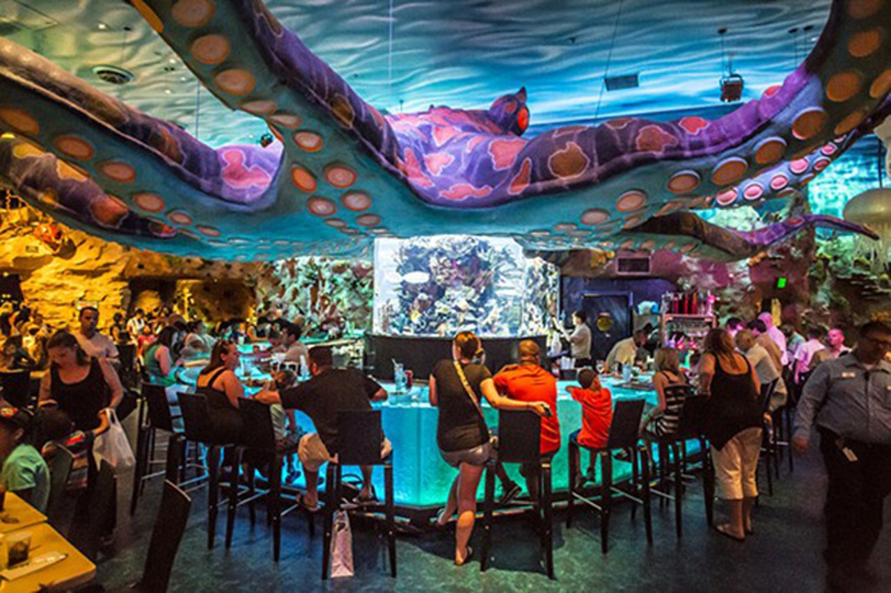 Shark Bar inside the T-Rex Cafe
1676 E. Buena Vista Drive
At the Shark Bar inside the T-Rex Cafe, which probably attracts more extended families with kids (drawn, no doubt, by the animatronic dinosaurs and mammoths that roar and crane their necks at diners) than single people headed out for drinks, the bar is neither childish nor cheesy &#150; rather, it&#146;s stunning and graceful, with its massive saltwater fish tanks tucked into the arms of a giant octopus.
Photo by Rob Bartlett