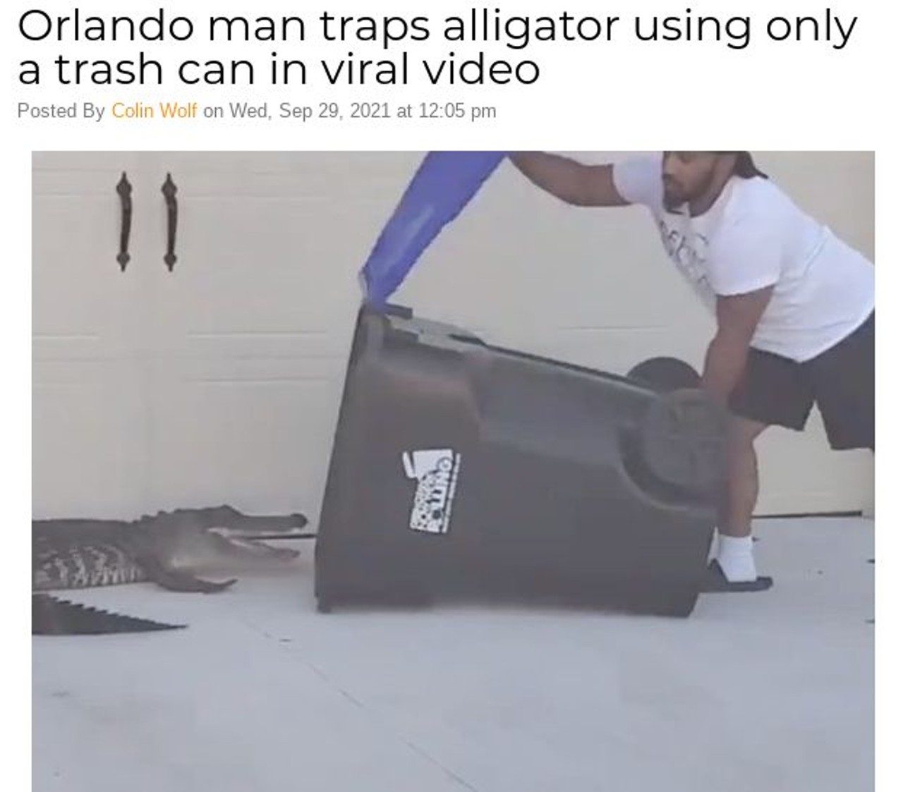 Florida Man traps alligator using only a trash can in viral video
