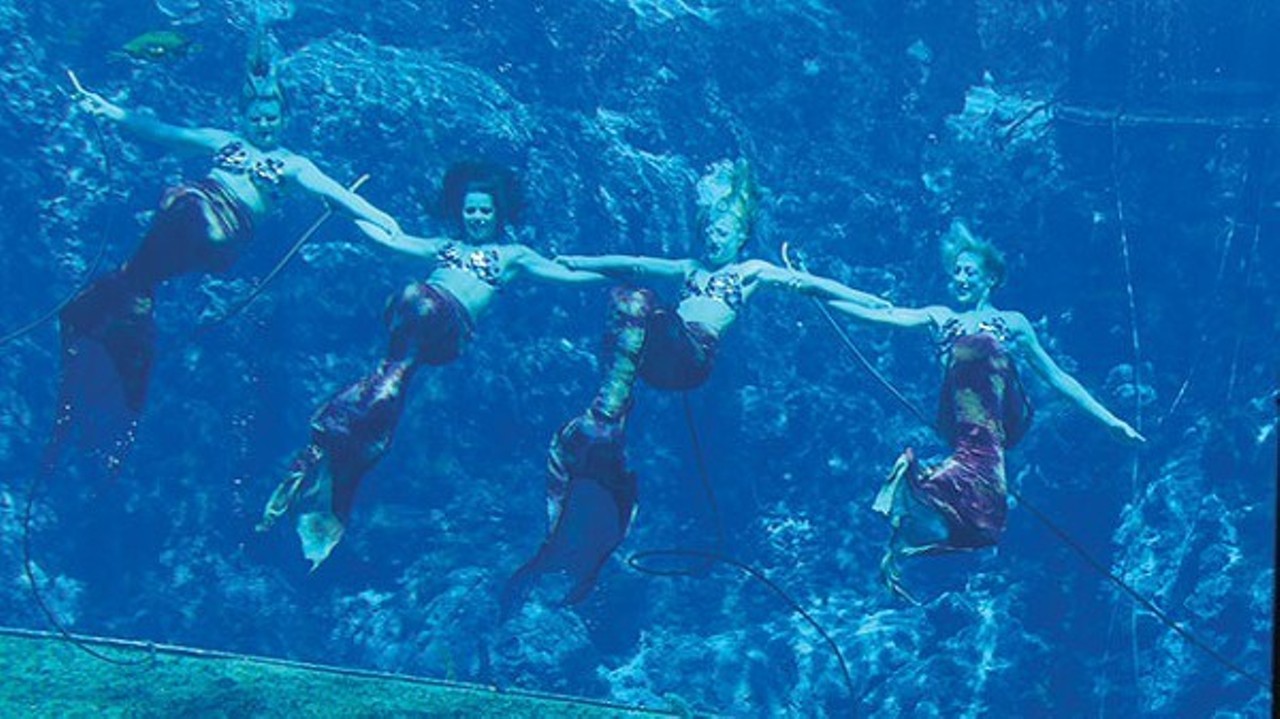 Weeki Wachee Springs Mermaid shows
6131 Commercial Way, Spring Hill
Mermaids do exist! Located two hours west of Orlando, Weeki Wachee Mermaids offers live shows and a spring fed waterpark.
Photo by Michael Lothrop