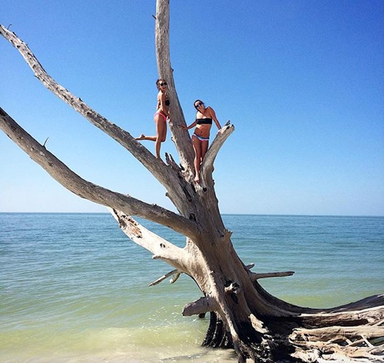 LOVERS KEY
Lovers Key came to prominence as a place where couples would seclude themselves for romantic rendezvous. No one&#146;s saying you can&#146;t get steamy on the sand dunes, but now there&#146;s plenty more to do: kayaking, fishing, hiking and bald eagle watching.
Distance: 3 hours and 32 minutes
Photo via staysonyamind/Instagram