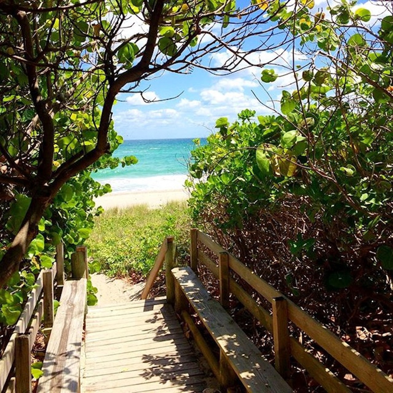 JUNO BEACH
There's not much room to complain when the beach is free to roam on and the sand looks pretty damn white. Pack a basket and grab shade under a picnic shelter, or hustle over to the dog areas with your short-legged bud for some off-leash fun.
Distance: 2 hours and 23 minutes
Photo via laylavonathey/Instagram
