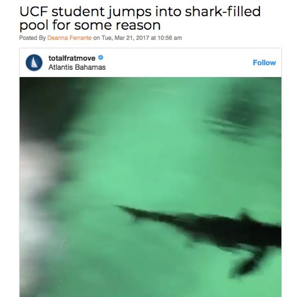 A University of Central Florida student thought it might be fun to take a dip with a few toothy friends, and, of course,  it only took moments for him to regret that decision. Read more