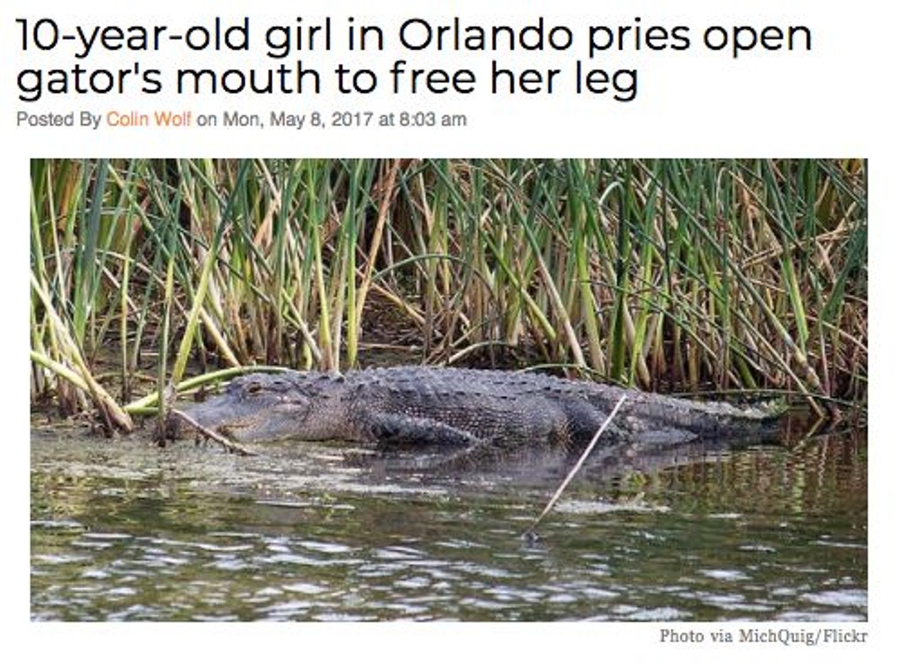 A 10-year-old girl in Orlando pried open a gator's mouth to free herself while swimming at Moss Park, officials say.  Read more