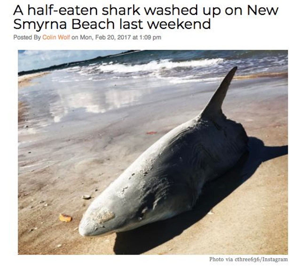 A big ol' half-eaten shark washed up ashore at New Smyrna Beach, a sobering reminder that not only is there always a bigger fish, but that the ocean is metal as hell. Read more