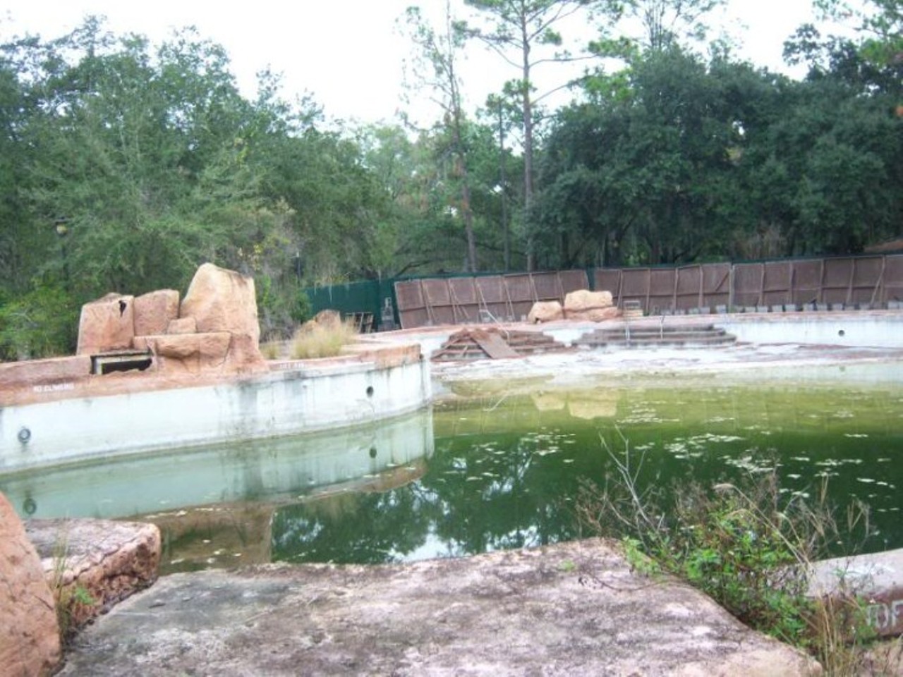 Walt Disney World&#146;s abandoned River Country
Walt Disney World's first water park remains permanently closed, with growing algae and weeds.
Photo via disneyparks.disney.go.com