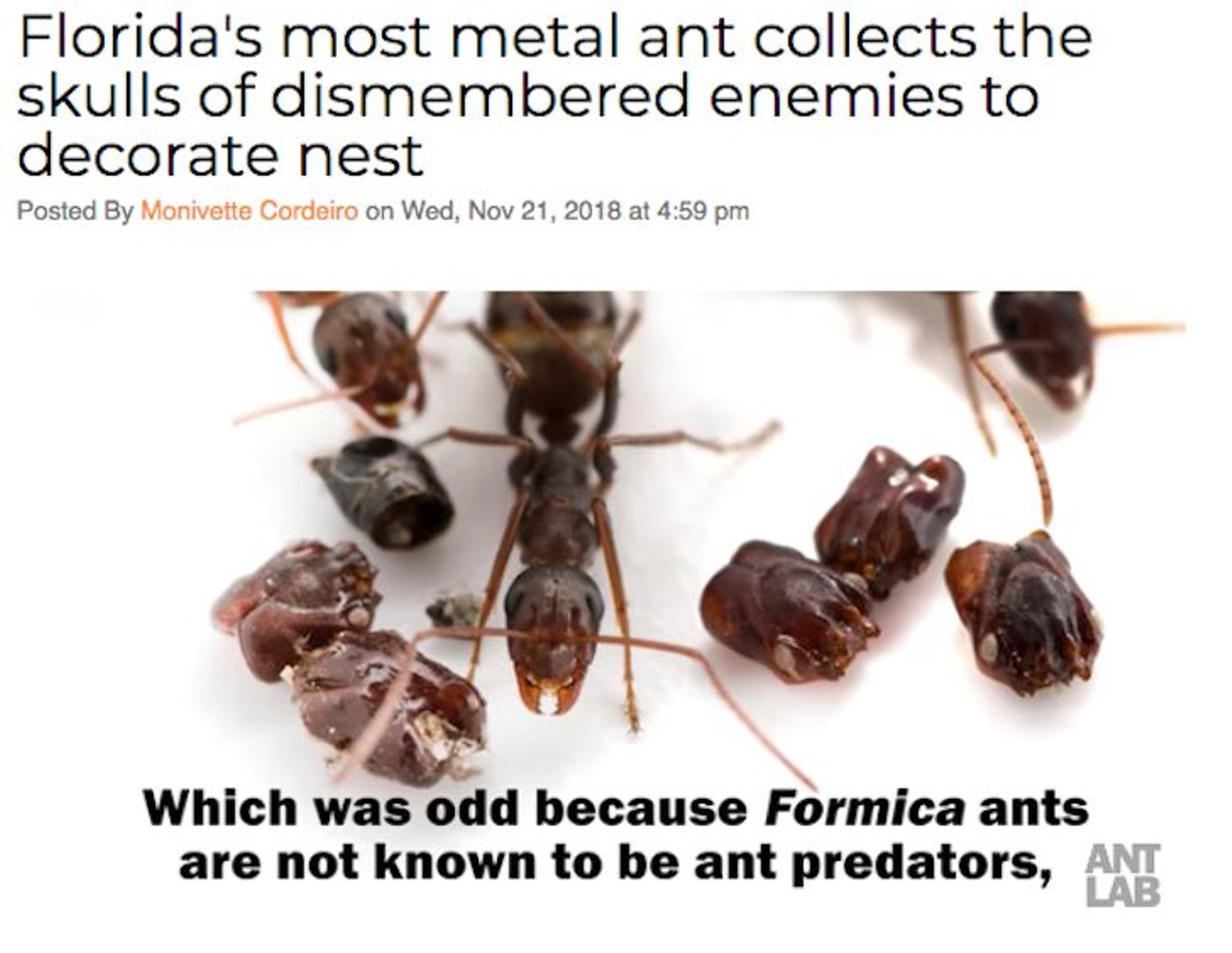 The state's most metal ant tricks a powerful species known as trap-jaw ants by chemically mimicking them and then spraying these enemy ants with immobilizing formic acid. Read more here.