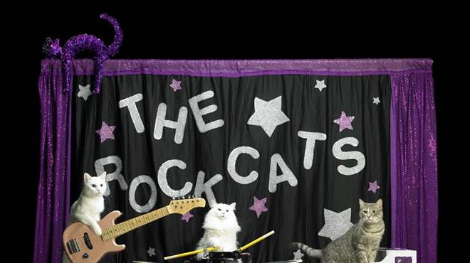The Amazing Acro-Cats and the Winter Park Playhouse will make you feel like a happy little old lady
