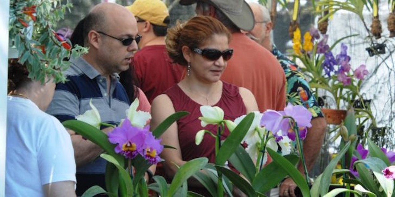 March 10-11
Annual Plant Sale More than 50 growers and vendors offer a variety of plants and outdoor accessories to enhance your landscape. 9 am-5 pm; Harry P. Leu Gardens, 1920 N. Forest Ave.; free; 407-246-2620; leugardens.org
Photo via Leu Gardens via website