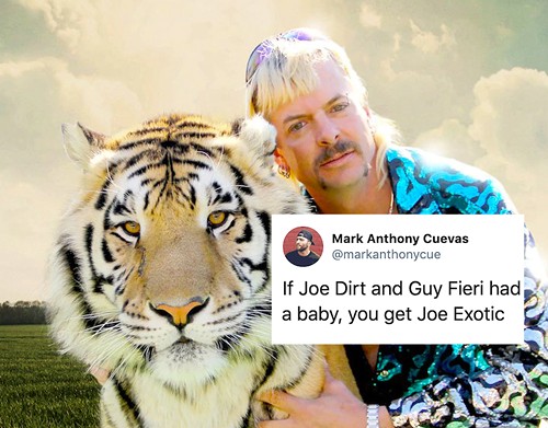 The best reactions to 'Tiger King' on Netflix, which you should be watching right now