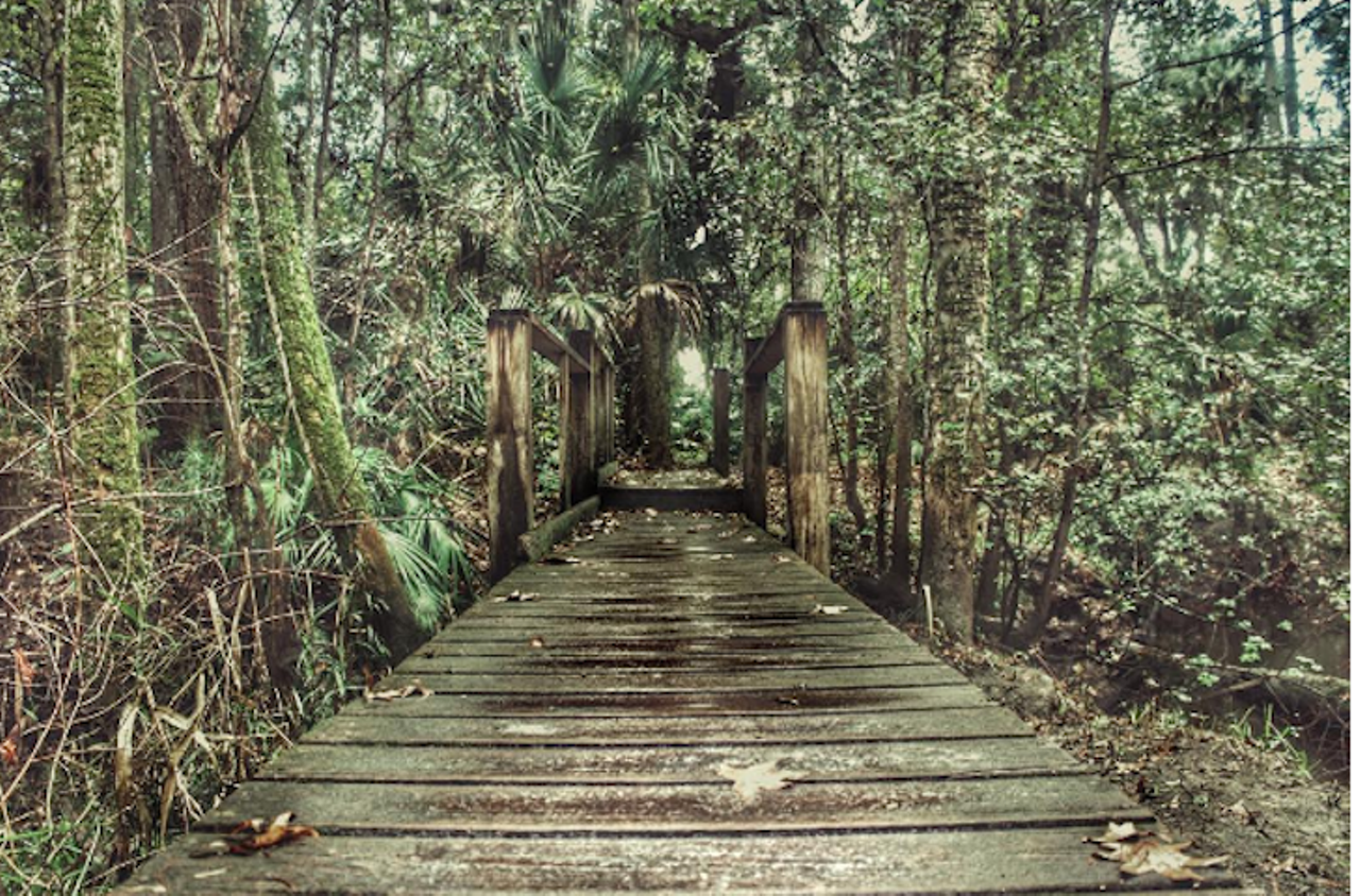 Hike at one of our many underrated spots
Multiple locations 
From Bear Creek Nature Trail&#146;s perfect loop shape ideal for beginners to the broad and open prairies of Hal Scott Preserve, Orlando has a lot of underappreciated hiking spots that any outdoor lover would love. 
Photo via shotbyhrbvn/Instagram