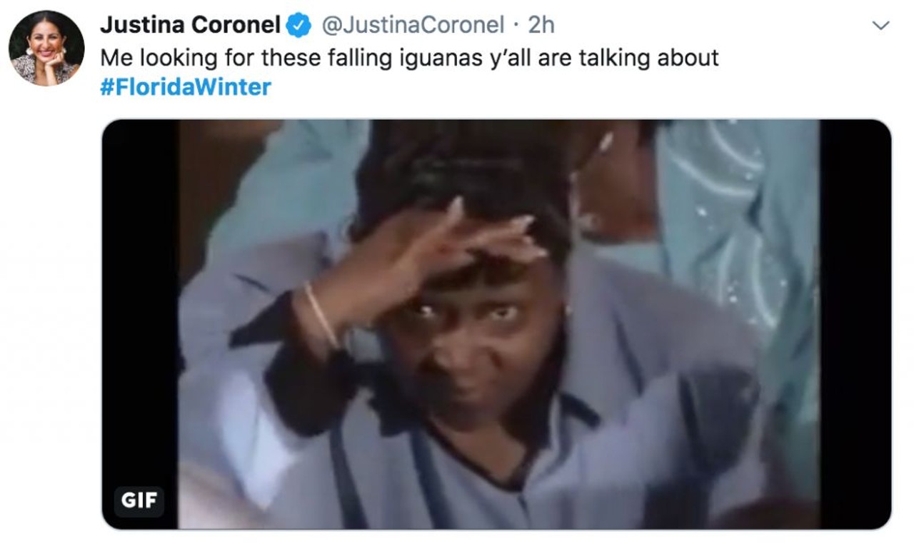 The best Twitter reactions to Orlando's freezing cold #FloridaWinter