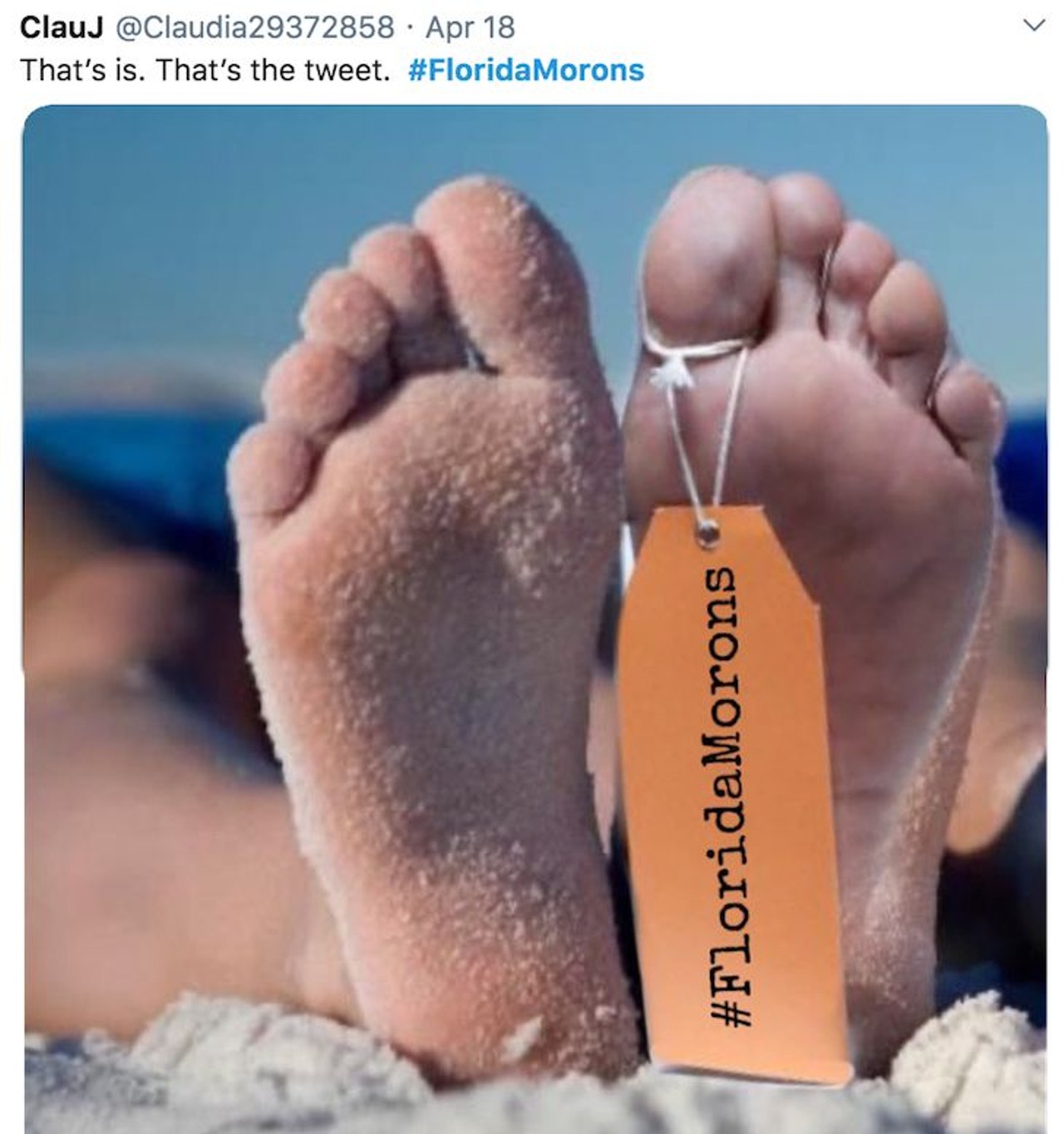 The funniest #FloridaMorons tweets, as Florida's beaches reopened