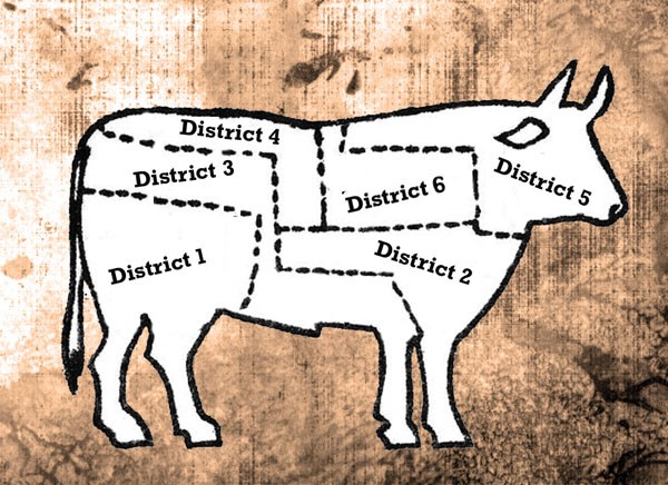 The other fair districts