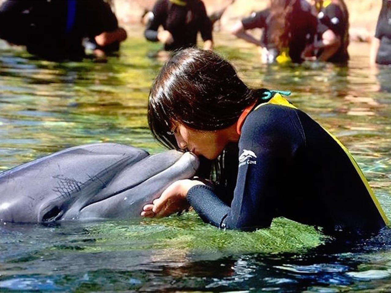 6. Lay a kiss on a dolphin (or your date) at Discovery Cove
You'll probably smell like fish later, but hey, at least you got to kiss a cute mammal. 
Photo via candee_arias/Instagram