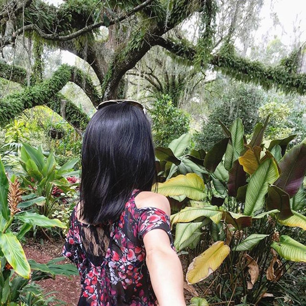 19. While exploring Harry P. Leu Gardens
There's nearly 50 acres of potentially great makeout zones in this urban garden. 
Photo via helenh0/Instagram