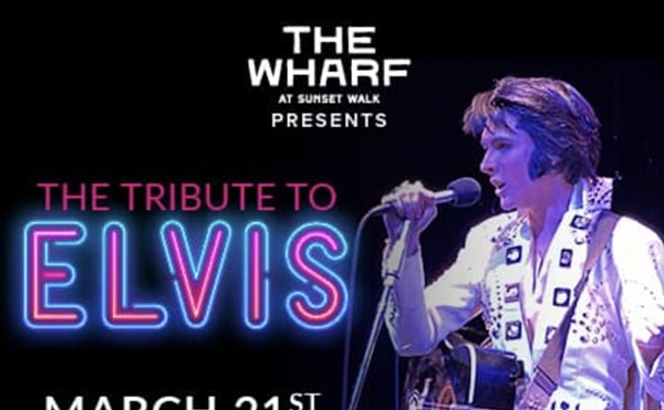 The Tribute to Elvis