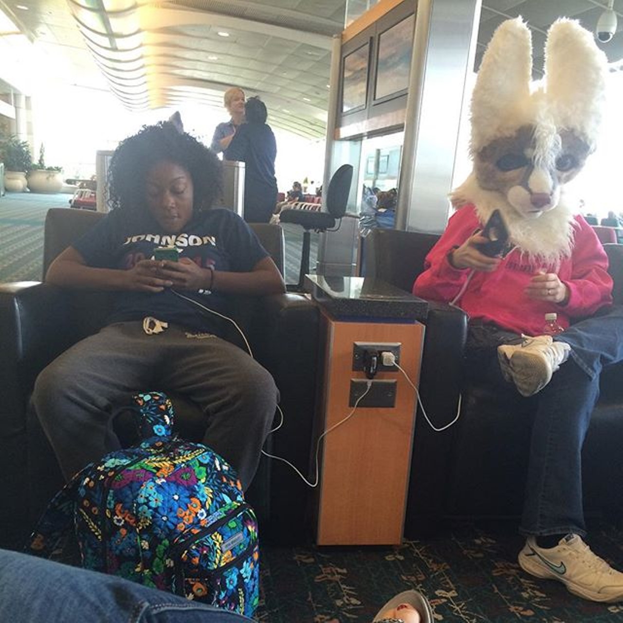 Is that a furry?! It is, and you just earned yourself 30 points. 
Photo via kroyalz