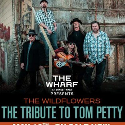 The Wildflowers: The Tribute to Tom Petty & The Heartbreakers