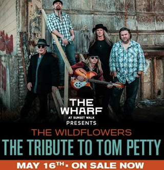 The Wildflowers: The Tribute to Tom Petty & The Heartbreakers