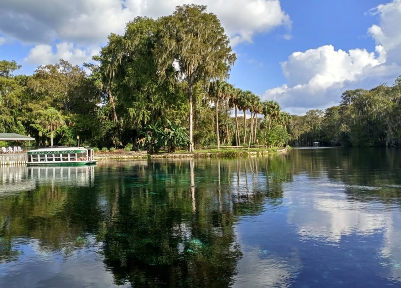Silver Springs
1 hour, 30 minutes from Orlando
This beautiful blue water is great for snorkeling and swimming alongside aquatic wildlife. You can also walk or ride the scenic 15-mile forest trail. And there's no need to stress-pack sandwiches, because Silvers Springs' very own Springside Restaurant sits right on site. To achieve the ultimate experience, check out their guided glass-bottom kayak tours and paddle the 5-mile river.