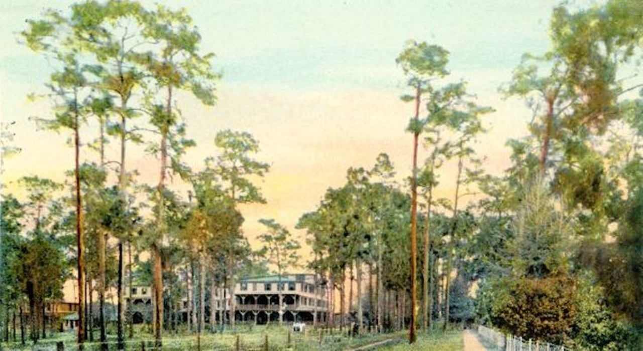 The view along Maitland Avenue at the Hotel among the pines in Altamonte, published before 1910. The hotel was built in 1883 by the Altamonte Land, Hotel and Navigation Company. It burned in 1953. An accompanying note on the postcard says: "Photograph of the Altamonte Hotel from the rear, Altamonte Springs, Florida. Maitland Avenue is on the right. View from the south."