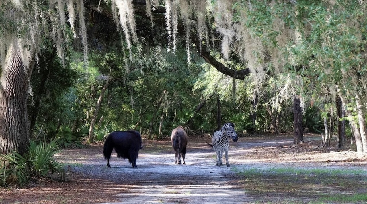 This $8 million Florida ranch for sale comes with three lakes, 500 deer and herds of exotic animals