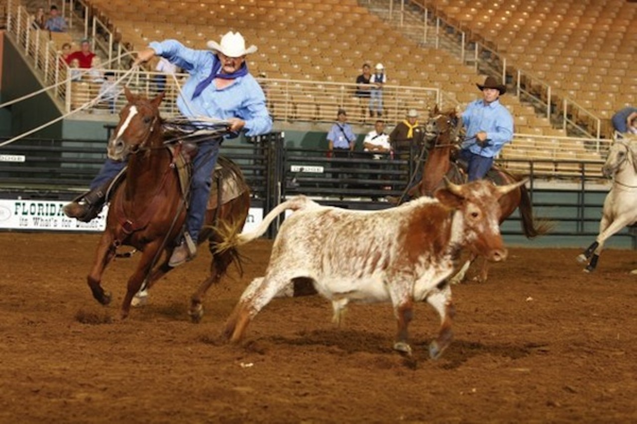 Cowboy Heritage Festival
Saturday, Sept. 28
10 a.m.
Silver Spurs Arena at Osceola Heritage Park, 1875 Silver Spur Lane, Kissimmee
321-697-3333
floridacattlemen.org
free
It might be hard to picture, but long before Walt Disney World and Kennedy Space Center planted roots in Central Florida, a herd of cowboys (and cowgirls) settled the majority of our area. They are known as Florida cracker cowmen, a nickname given for their work rounding up cattle in the fields, and still today Florida residents trace lineage back several generations. It&#146;s that kind of nod to rural roots that spurs on events like this weekend&#146;s Cowboy Heritage Festival at Osceola Heritage Park. And as part of the Florida Ranch Rodeo weekend, this daylong outdoor event gives spectators the opportunity to see how the &#146;boys lived back then (historical campsite tours), hear tales from the farm (live performances by singers and cowboy poets), learn techniques used on the land (cattle-rustling re-enactments and saddle-making demos) and even taste a down-home-cooked meal (make your way to the brisket cook-off competition). Consider it an all-around respectful tip of the Stetson, if you 
will. &#150; Aimee Vitek