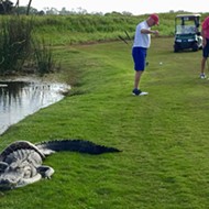 Florida golfers play through while a massive gator fights a python