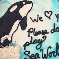 After baking a cake asking them not to perform, PETA will protest Hanson's concert today at SeaWorld