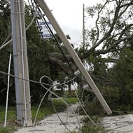 As Florida's hurricane season approaches, tree trimming seen as key