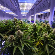 Judge rejects Florida's cap on medical marijuana dispensaries