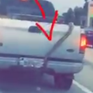 A massive snake tried to escape its owner's truck on Colonial Drive