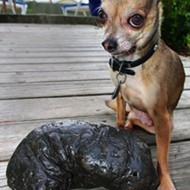 Jacksonville man holds Guinness World Record for largest collection of fossilized poop