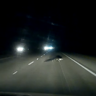This is what happens when you hit an alligator while driving 70 mph