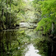 Trump budget falls short $130 million on Florida Everglades restoration